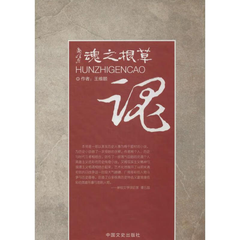 草根之魂 王维颐 著【正版】