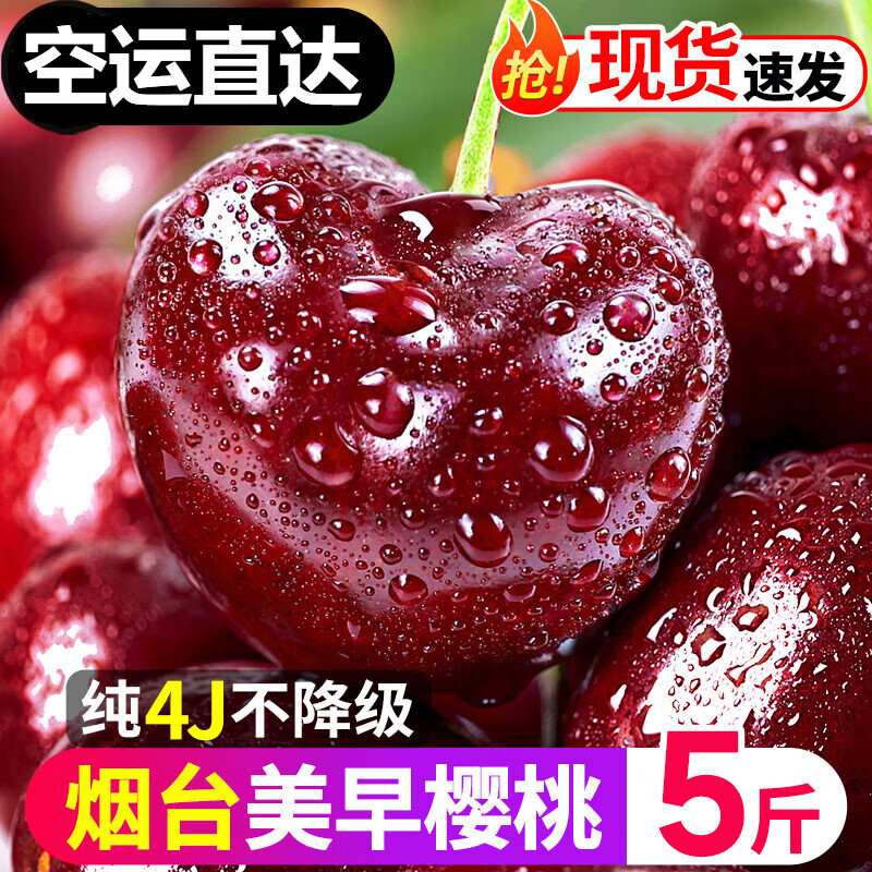 莱财多烟台美早大樱桃现货车厘子国产当季现摘孕妇新鲜水果空运 500g