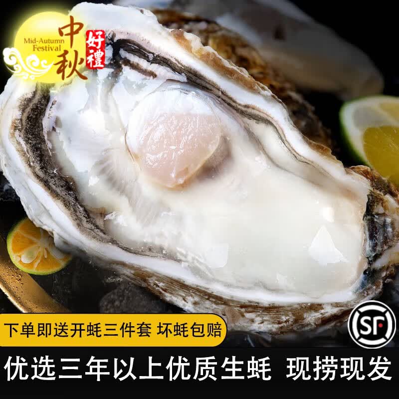 鲁禧 乳山生蚝鲜活6XL特大牡蛎 山东地标产品 新鲜海蛎子 刺身级生蚝 【特大】5XL号净重4.5斤装高性价比高么？