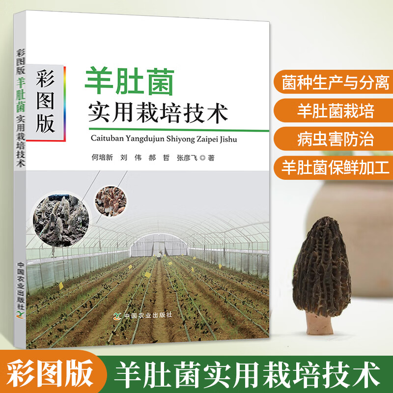羊肚菌大棚高效栽培技术大全 羊肚菌栽培 羊肚菌种植技术蘑菇食泳菌