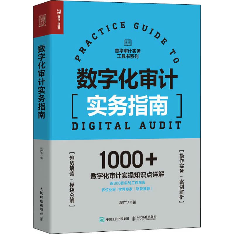 数字化审计实务指南 图书
