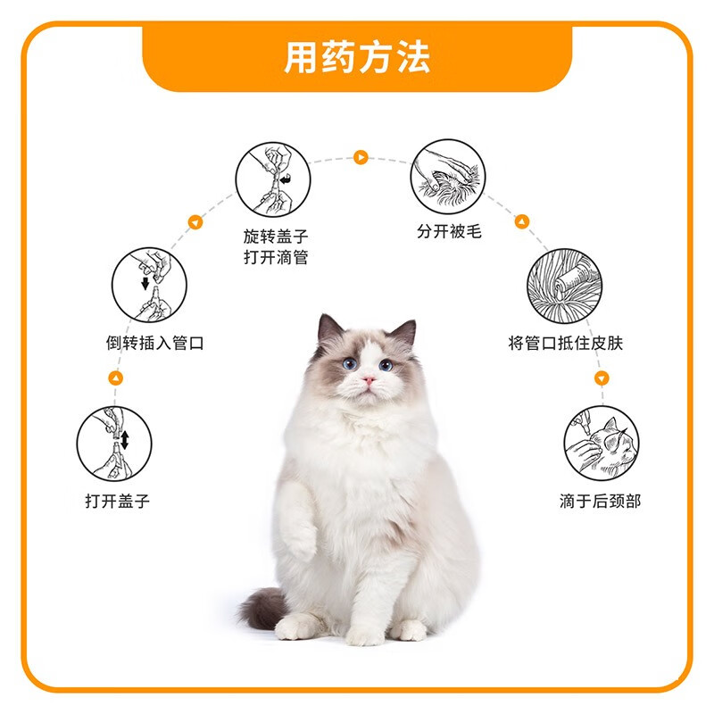 德国进口拜耳爱沃克猫怀孕期间能用吗？