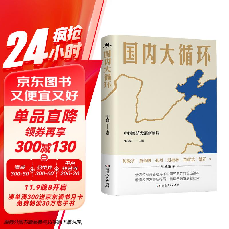 国内大循环（全景式解读大循环的开创之作！更加贴近决策层的视角讲透新发展格局下的战略与机遇！）