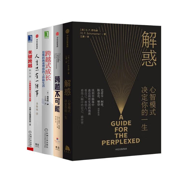 解惑+跨越不可能+跨越式成长+人生只有一件事+关键跨越（五册）详情图