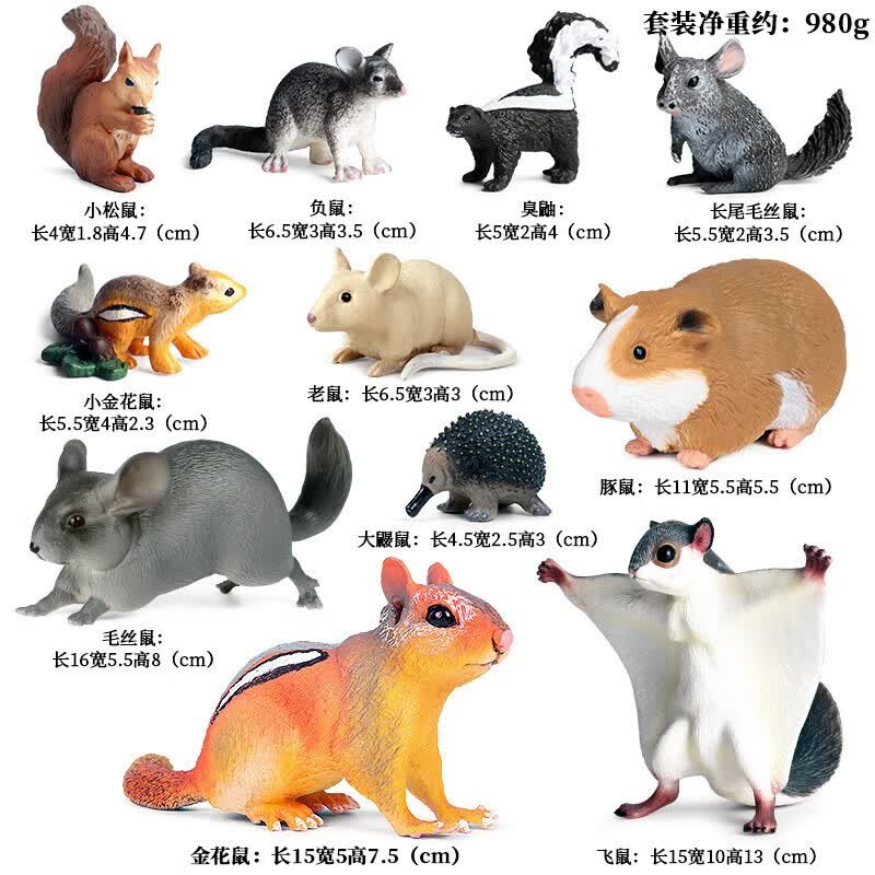 花栗鼠土拨鼠松鼠老鼠儿童认知实心塑胶动物模型摆件 鼠类11款套装