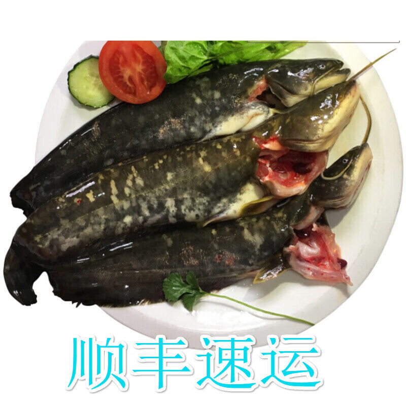 lism小河鱼水产鲶鱼鲜活现杀土鲶鱼 新鲜鲶鱼3斤装现捕现杀 3斤杀好