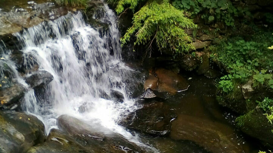碧龙潭门票家庭票2大1小 九江庐山碧龙潭 景点门票