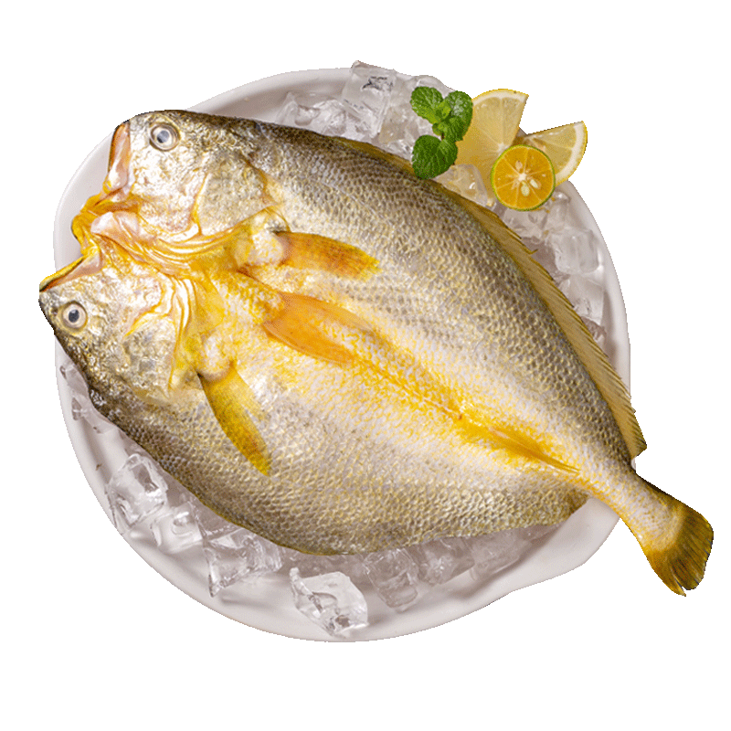 三都港 寧德黃花魚醇香黃魚鲞寧德特產(chǎn)黃瓜魚新鮮海魚魚類冷凍海鮮水產(chǎn) 醇香黃魚鲞280g*3條