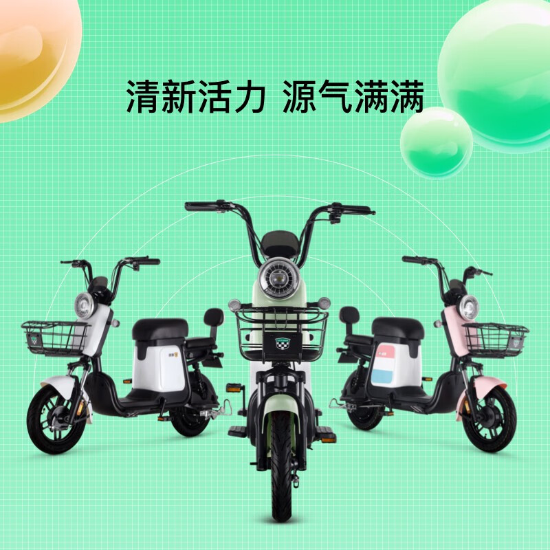 绿源电动自行车48V24A锂电池可提取 ZFB翻糖 成人男女通用代步电瓶车 绿