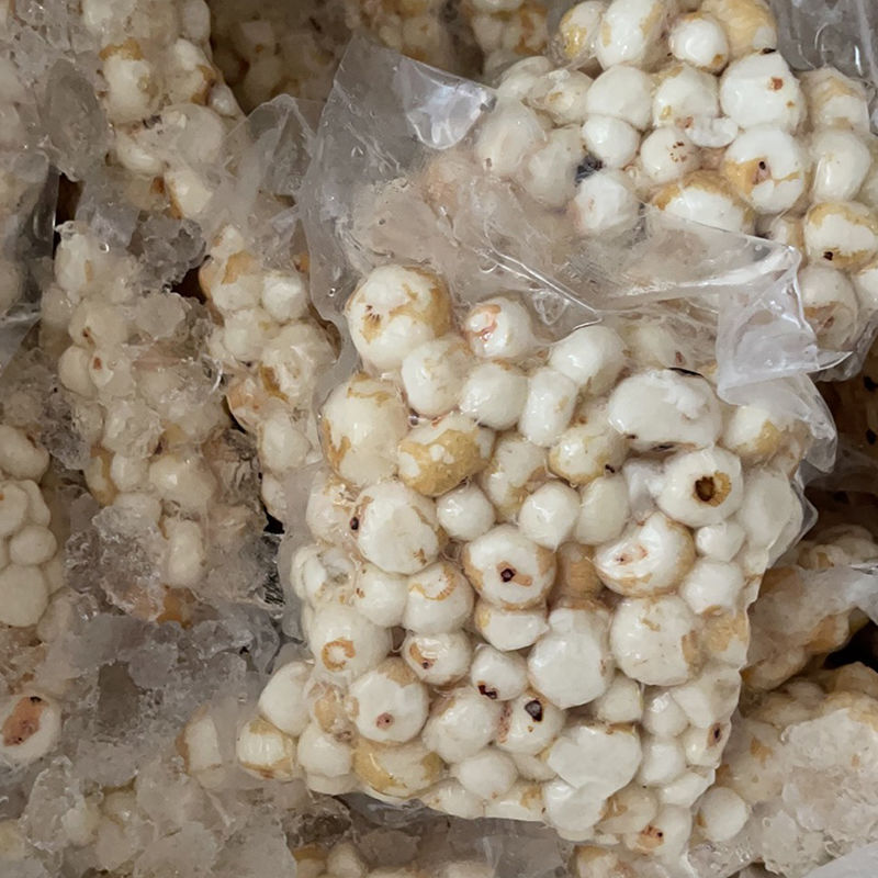 虎钢馋阳江珍珠马蹄海南椰子鸡火锅配料新鲜荸荠去皮小马蹄 5oog 破損