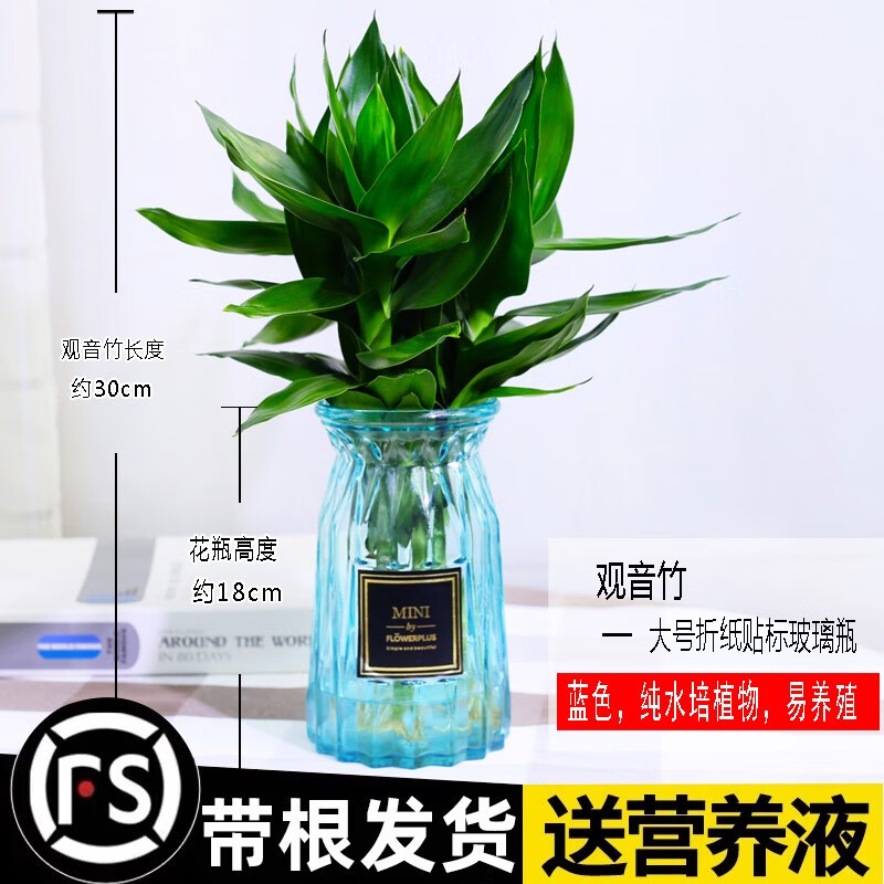 ����������񸻹���ˮ��ֲ�����������ֲ������������ת������ˮ������ ������3�ã�����ֽ������+Ӫ��Һ