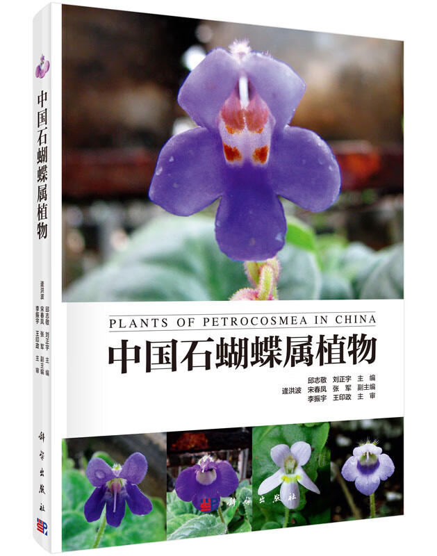 中国石蝴蝶属植物