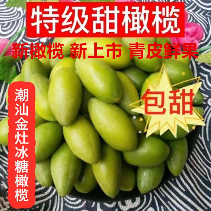 鲜木正常发货500g潮汕金灶特产青橄榄果现摘新鲜甜种橄榄柑榄青果无渣 1斤