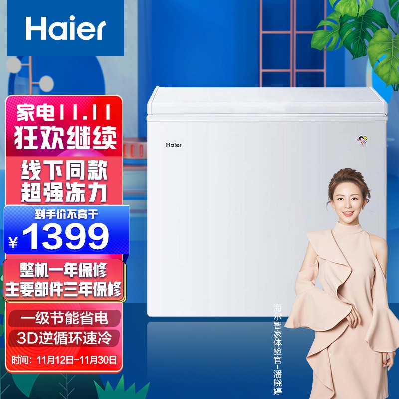 海尔（Haier）200升家用冰柜冷藏冷冻转换冷柜 节能单温冰箱  BC/BD-200HDB