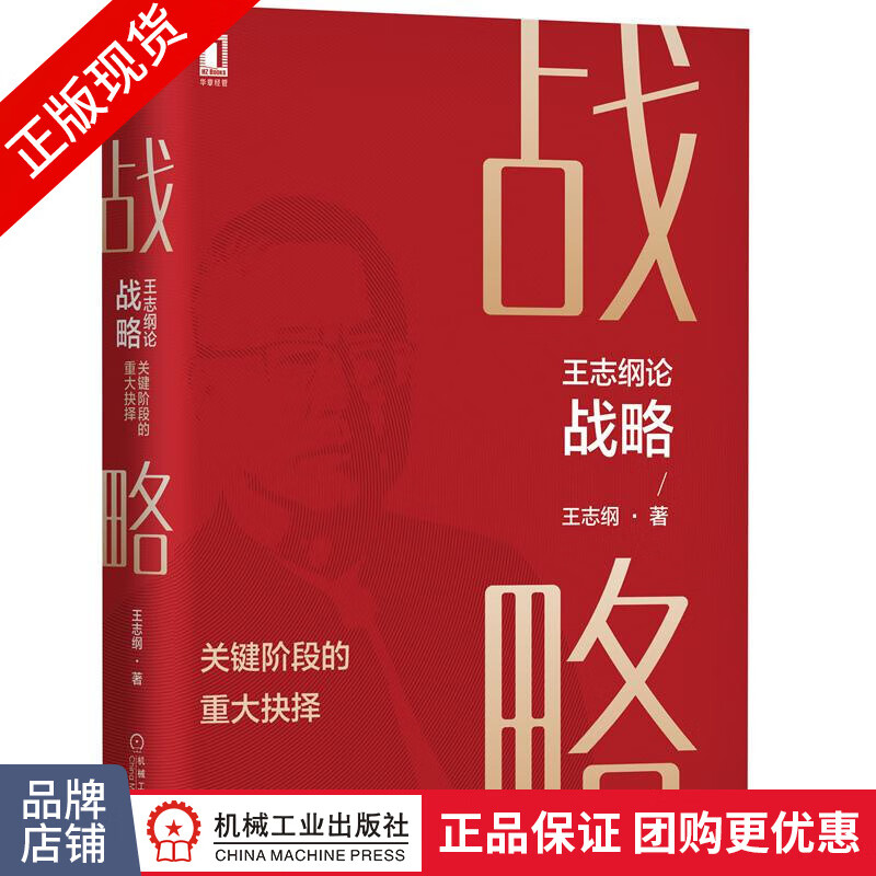 正版 王志纲论战略:关键阶段的重大抉择 王志纲|8082982