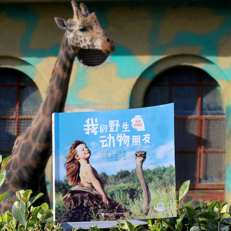 我的野生动物朋友 7-10岁 蒂皮·德格雷 著 科普百科