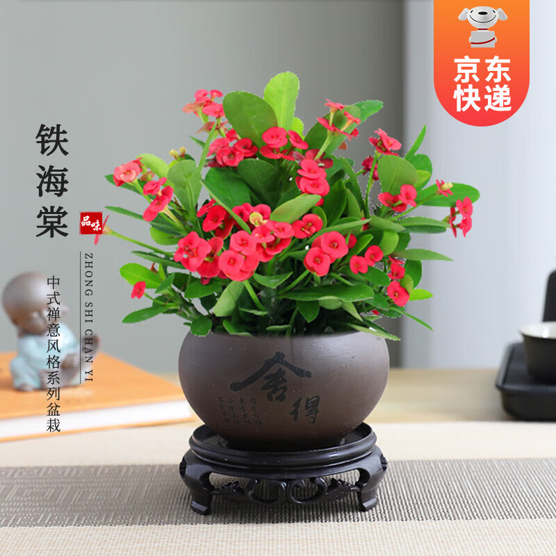 ��ʱ�� ���������Դ������� ����÷�ļ�������ֲ���辰��ֲԴͷֱ������ ������������ɰ��+Բ����