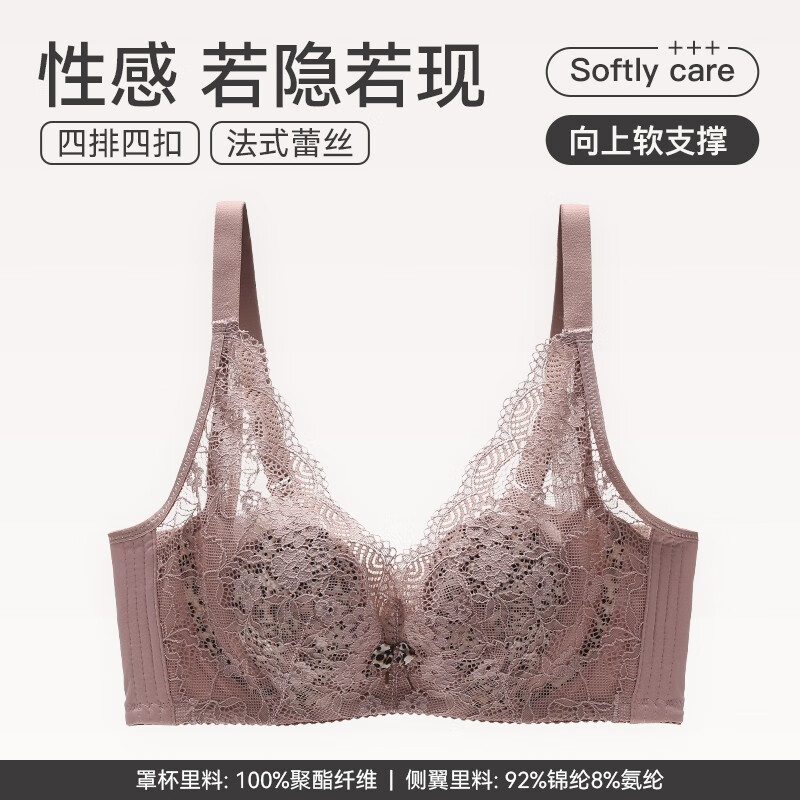 哪里可以看到京东文胸商品的历史价格|文胸价格走势图