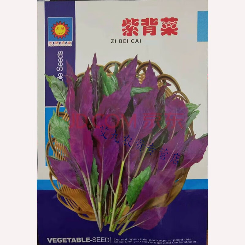 西芝蔬菜种子 紫背菜种子 观音菜 血皮菜 红背菜种子 特色蔬菜种籽 紫