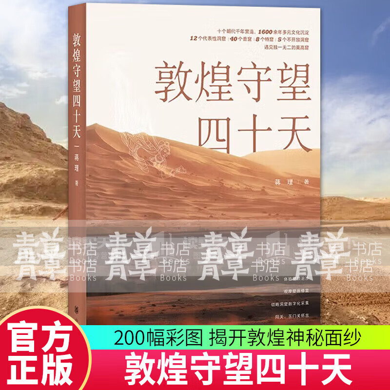 新书 敦煌守望四十天 蒋理著 洞窟数字化