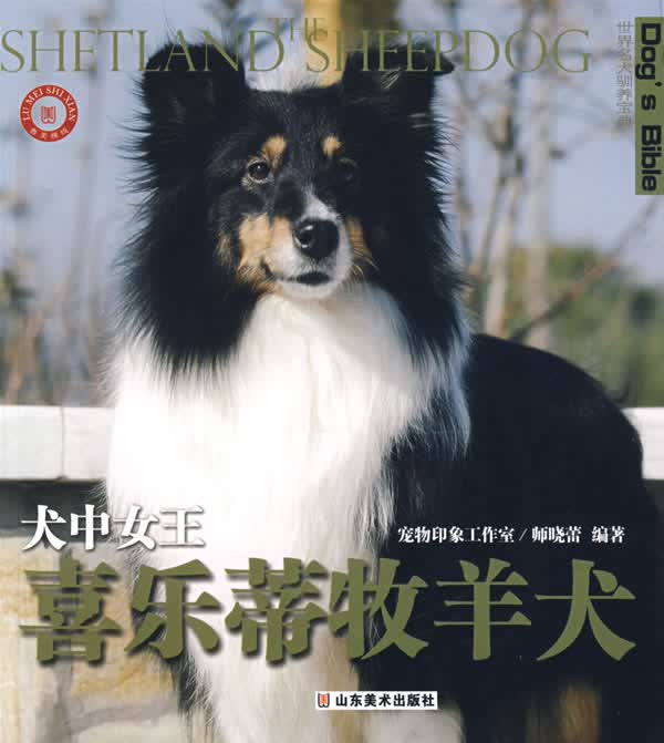 世界名犬驯养宝典－犬中女王 喜乐蒂牧羊犬