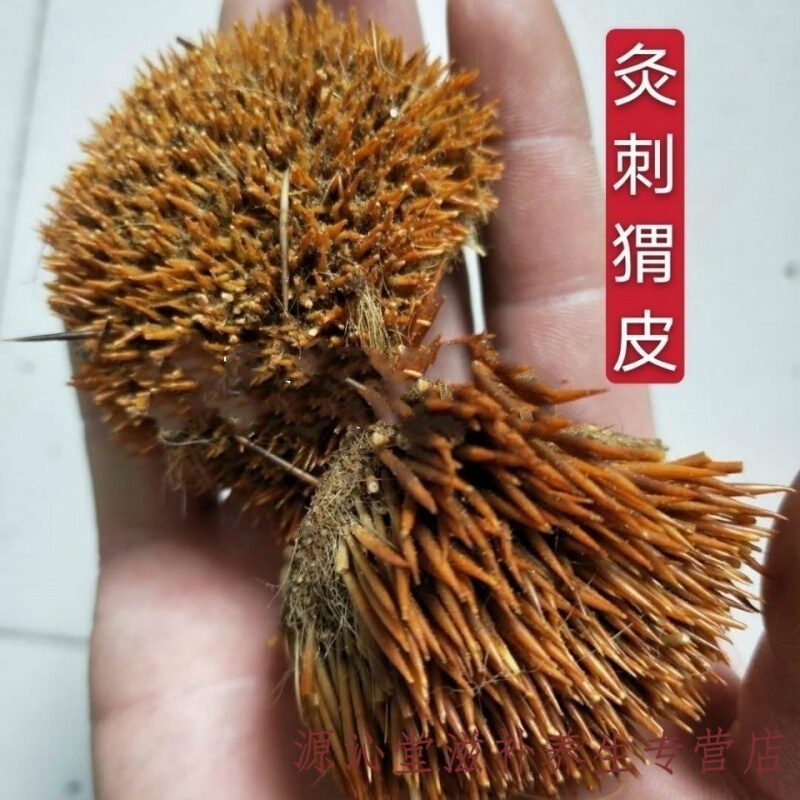 刺猬皮 中药材炒刺猬皮制刺猬滋补选装新货100g500g中药材炒刺猬皮 实