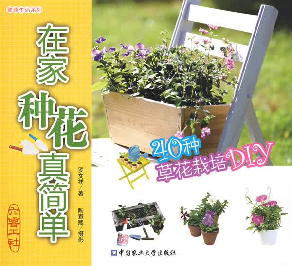 在家种花真简单