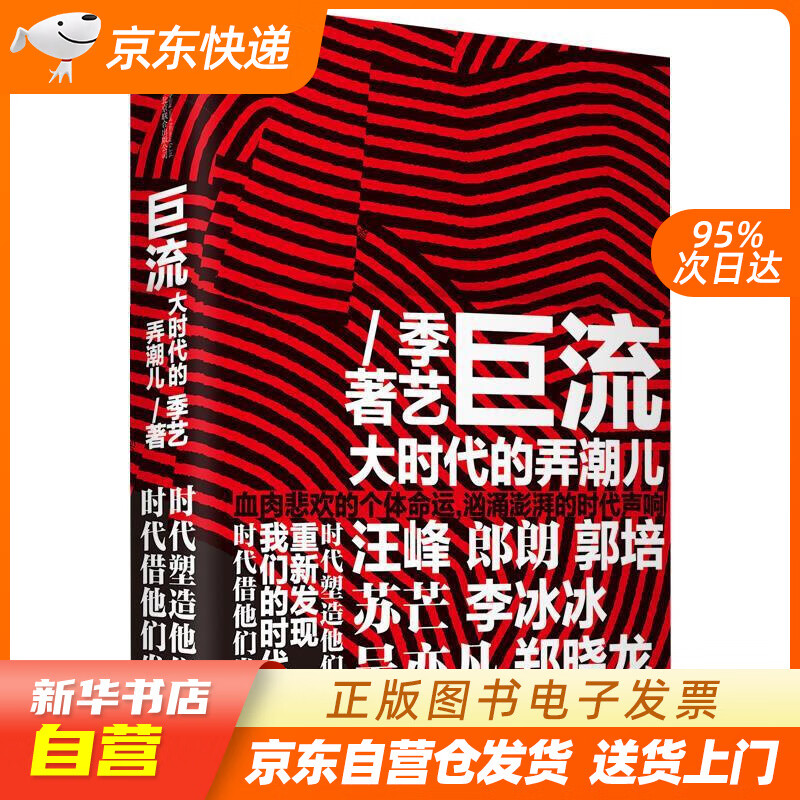【满59包邮 全新正版】巨流:大时代的弄潮儿 特写汪峰朗朗李冰冰等8位
