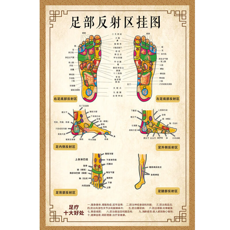 按摩穴位图足部反射区挂图片足疗脚底中医养生美容院海报 竖版 20寸