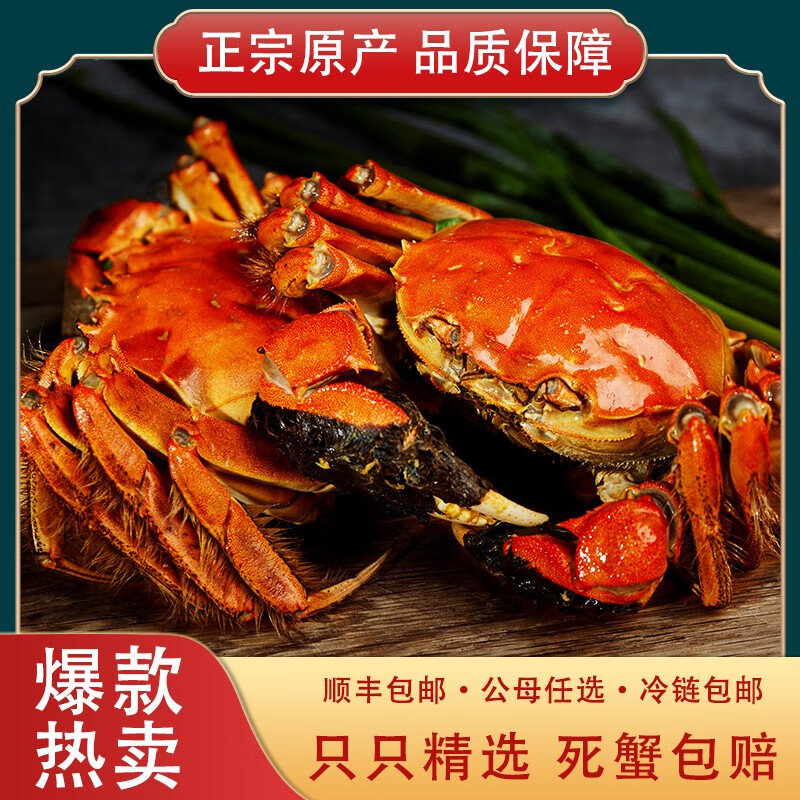 【礼券】蟹公馆阳澄湖大闸蟹礼券中秋送礼螃蟹礼卡蟹礼螃蟹提货券 1288型 公4.0两 母3.0两 4对 8只