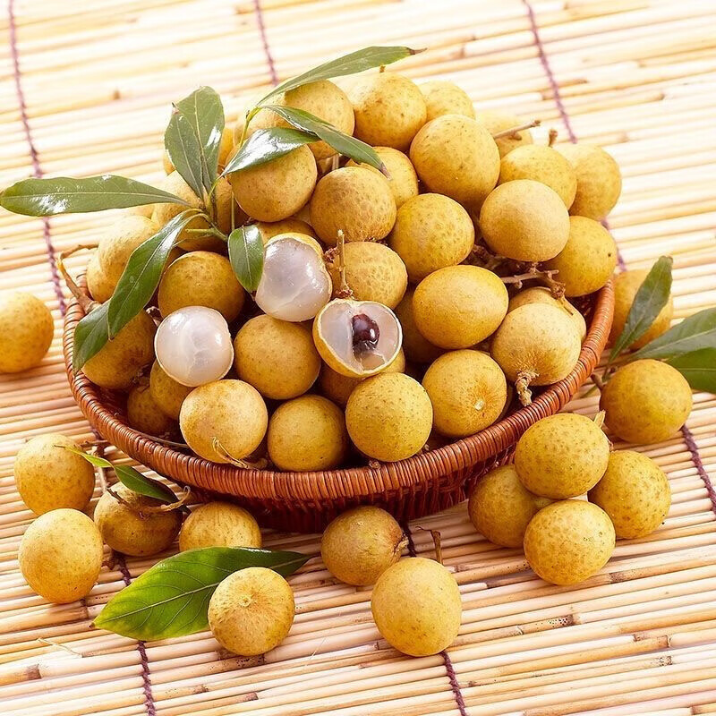 龙眼 桂圆 新鲜福建莆田水果当季大桂圆 5斤