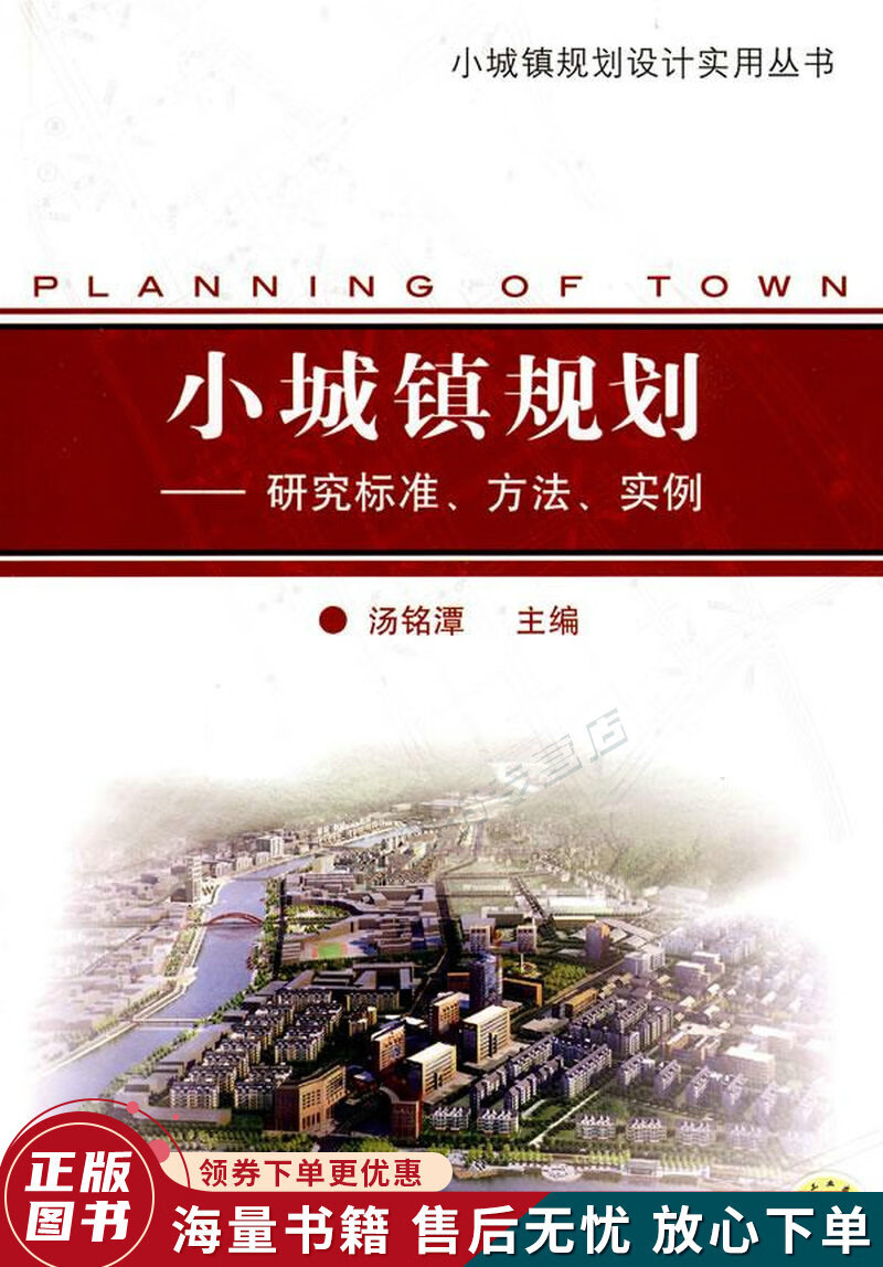 小城镇规划:研究标准,方法,实例