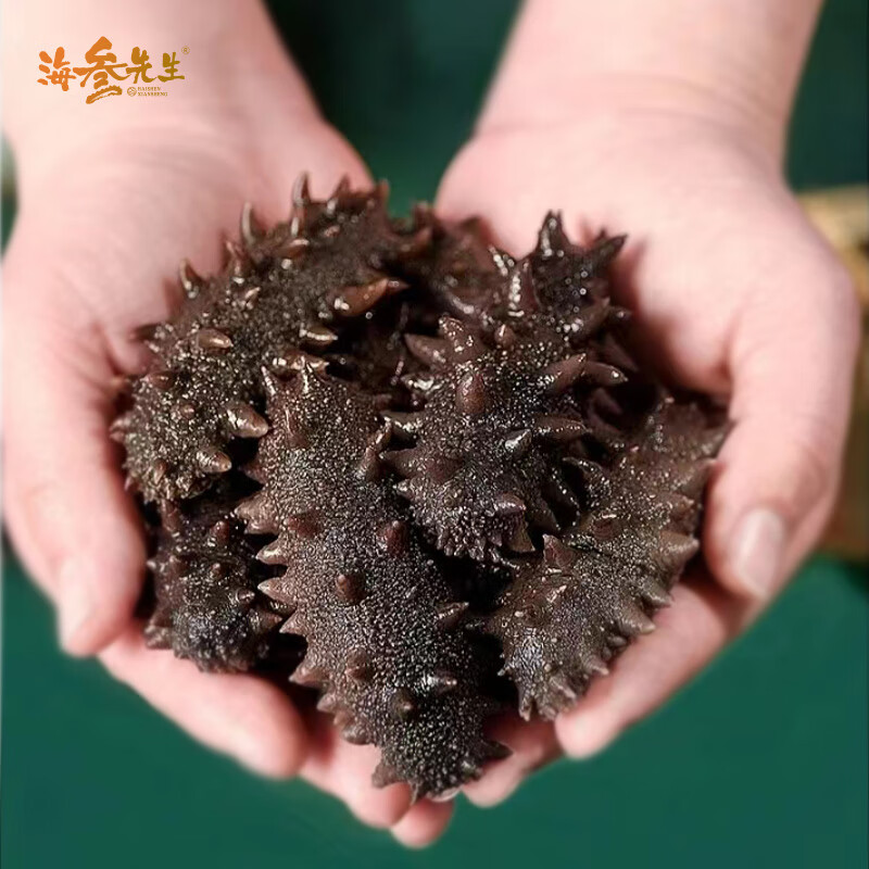 海参先生大连开袋即食海参 辽刺参 250g 6-8只