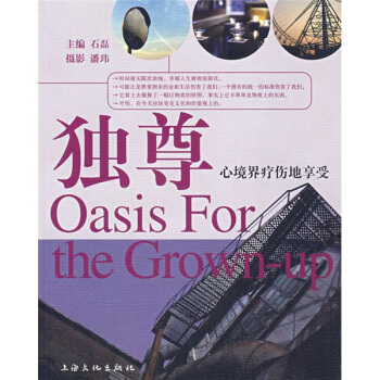 独尊：心境界疗伤地享受【正版图书】