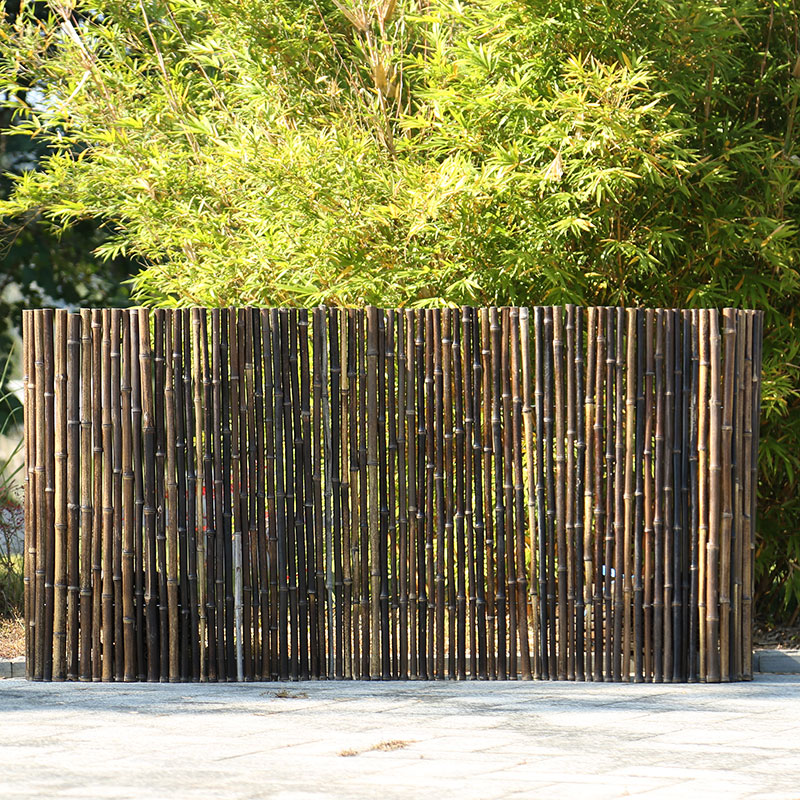 墨薰槿别墅院子庭院围竹子围墙隐私篱树栅栏竹墙紫 高100*长200