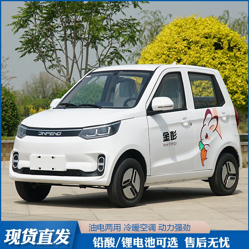 金鹏艾米电动汽车成人油电两用代步车家用小型女性接送孩子代步车轿车