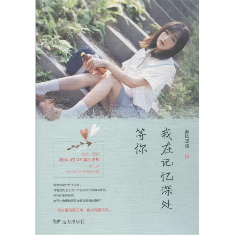 紫水晶系列:我在记忆深处等你 海风暖暖 