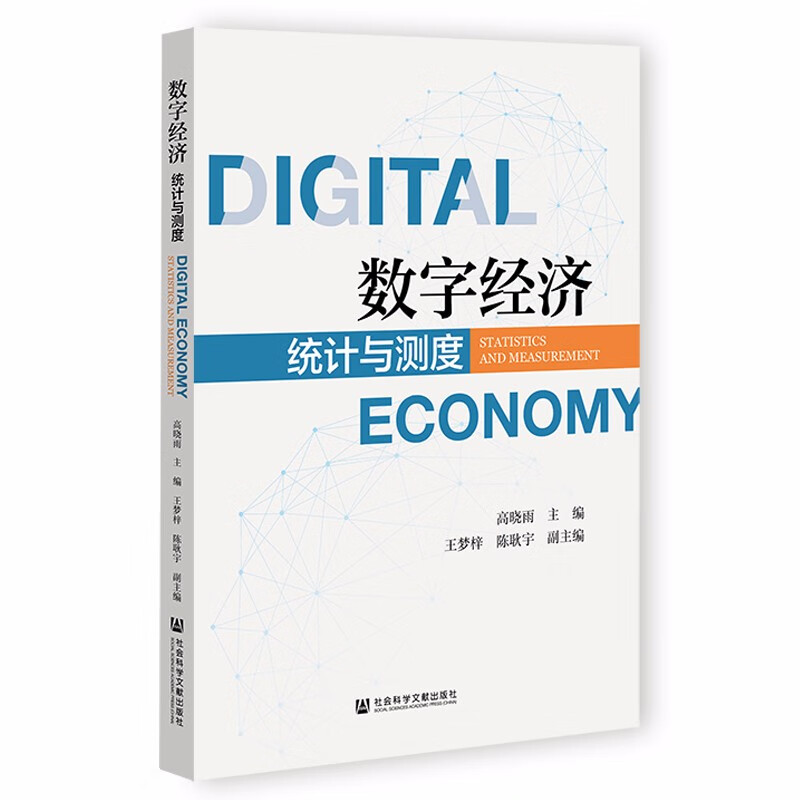 【L】数字经济:统计与测度9787522