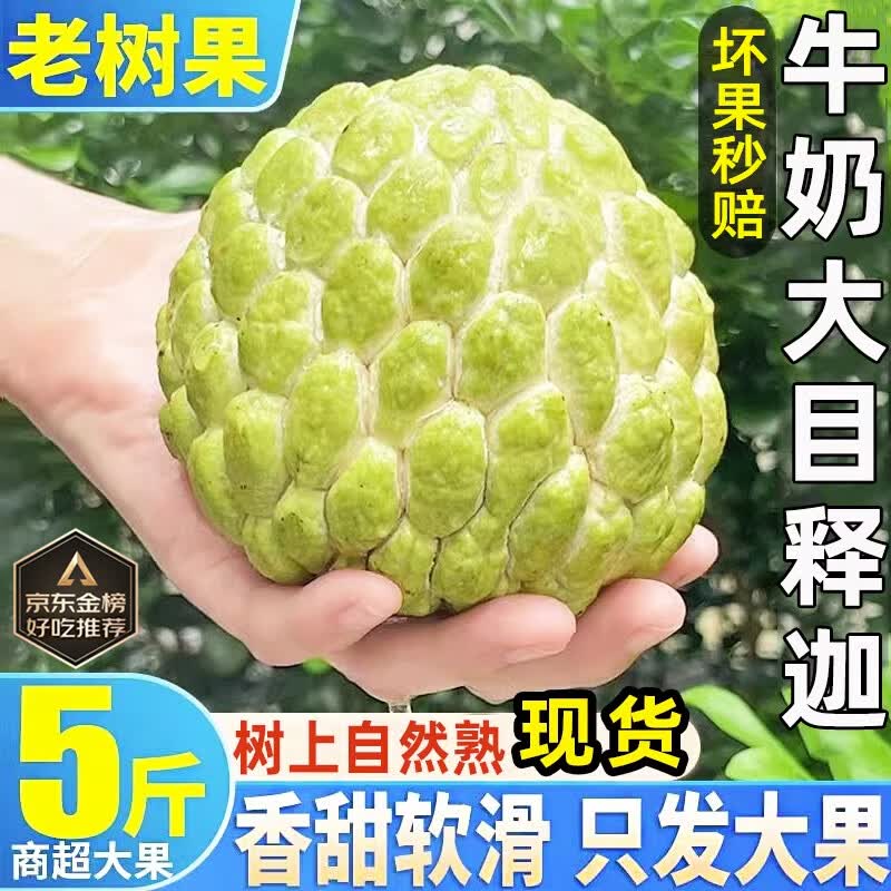 颜曼箐牛奶释迦果佛头果番荔枝大目释迦超大果凤梨玫瑰新鲜水果礼盒装 单果250g+ 5斤装【90%选择蕞划算】高性价比高么？