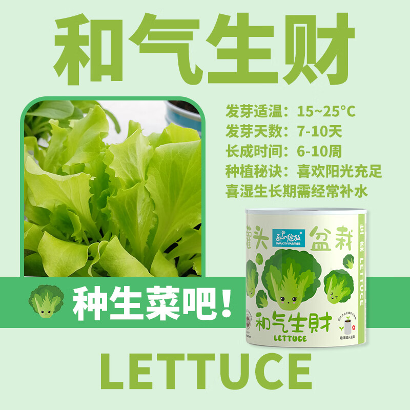 IAM City Farmer番茄罐头盆栽儿童种植小盆栽幼儿园植物绿植科学试验观察种植作业 【和气生财】生菜种植罐头 套装