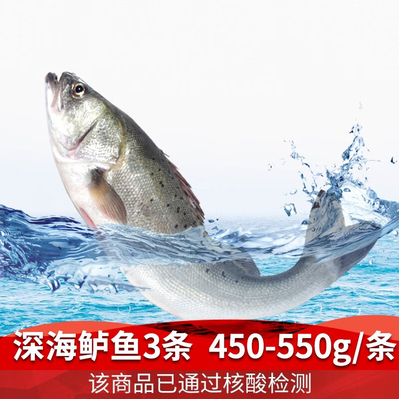 名扬湖海 新鲜大海鲈鱼 鲜活冷冻七星海鲈鱼 生鲜鱼类健康轻食 3条*