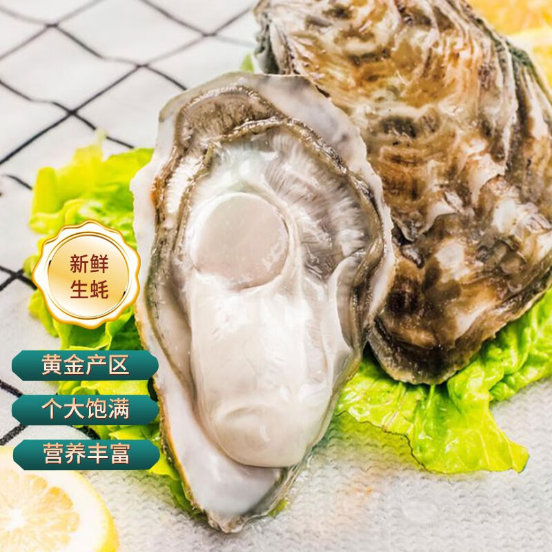 海蕴花 生蚝 原味系列 牡蛎 烧烤食材 海鲜水产 生鲜贝类 xxl(120g(含