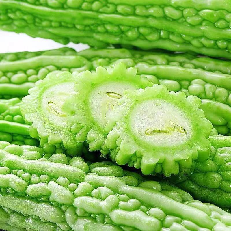 新鲜苦瓜1-5斤现摘农家自种苦瓜新鲜蔬菜凉瓜山东生鲜瓜 一斤现摘精品