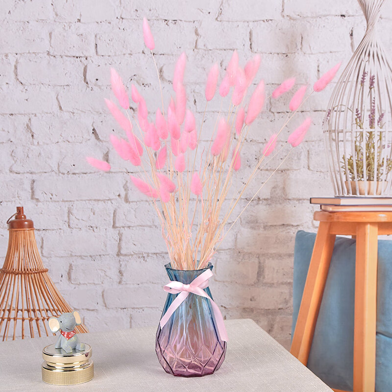 爱满(aiman)满天星天然干花花束ins网红生日 新房装饰摆件风干真插花