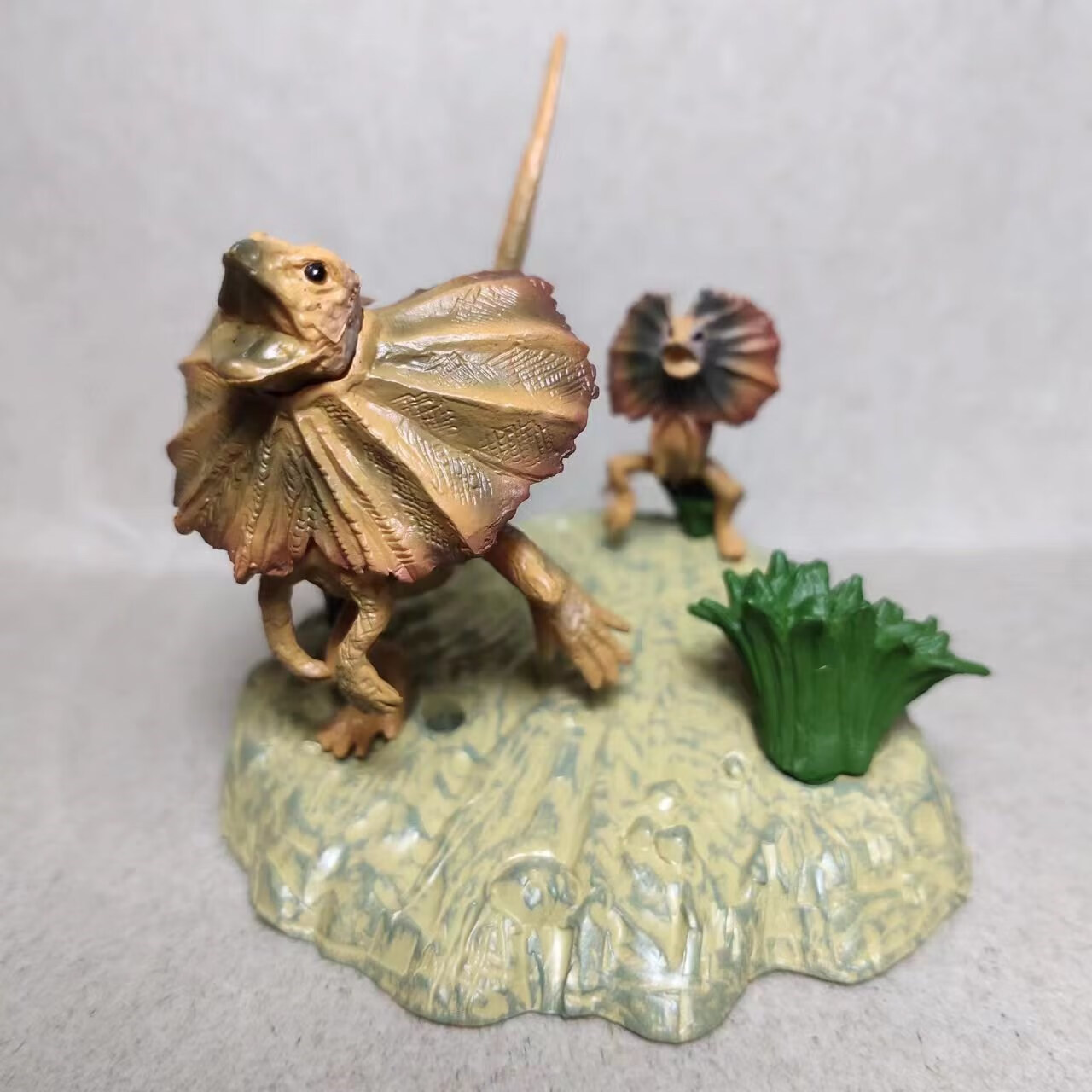 万致澳洲伞蜥【动物堂】bandai野性澳