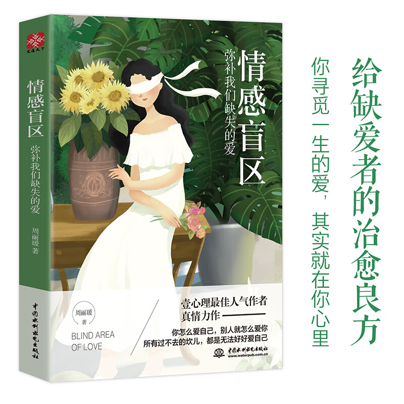 情感盲区:弥补我们缺失的爱