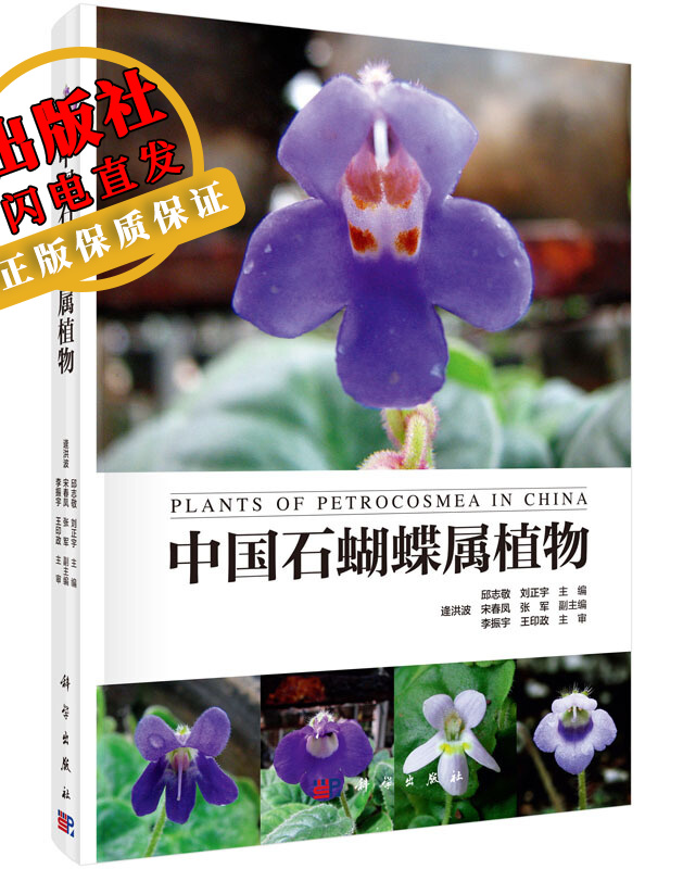 中国石蝴蝶属植物