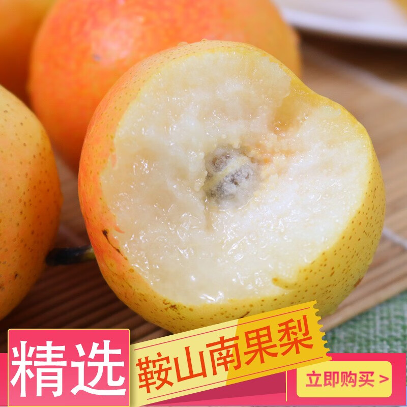鲜姿辽宁南果梨南国梨香水梨醉梨酒梨新鲜水果礼盒 4.5-4.8斤实惠装约40枚