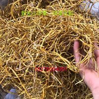 伟博野生小环草 中药材 小黄草 野生 环草石斛 500克 天然 500g