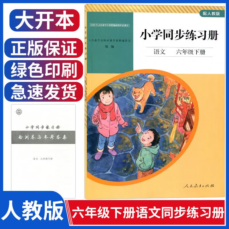 配人教版语文六年级下册小学语文同步练习册六年级下册部编与6六年级下册语文书课本教材配套人民教育出版社